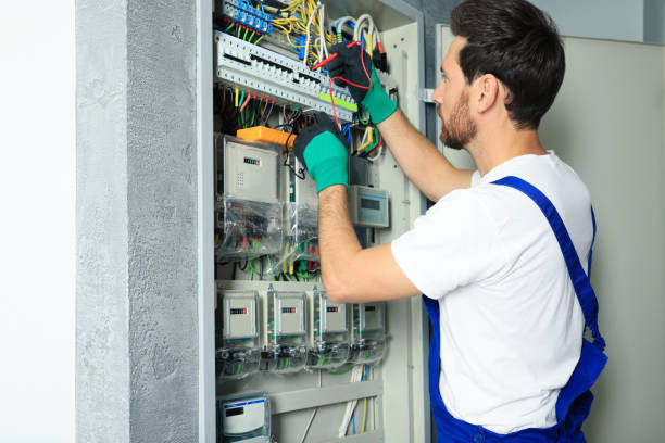 Best Electric Panel Repair  in Fairview, NC
